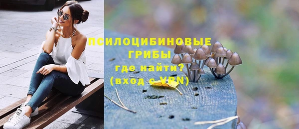 mdpv Снежногорск